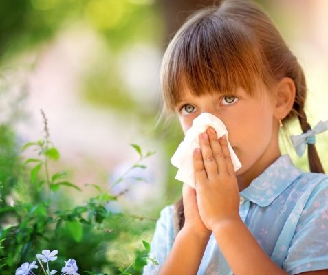 Alergias da primavera podem ser tratadas com suplementos naturais